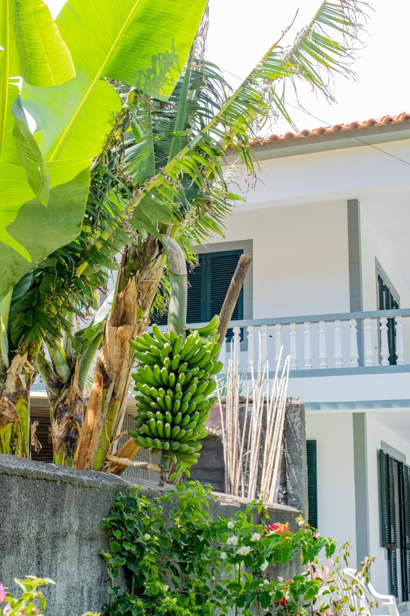 Sao Vicente Guest House Exterior foto